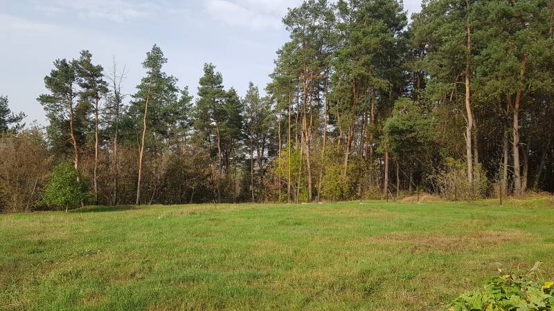 Продам 25 сот земельный участок с 2-х сторон лес с. Белогородка 4 км Киев